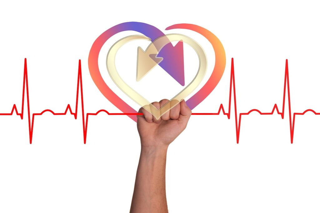 heart, curve, life, thread, silk thread, health, healthy, pulse, frequency, heartbeat, disease, medicine, ill, doctor, hospital, heal, health check, let go, cling, hold tight, frequency, heartbeat, heartbeat, heartbeat, heartbeat, heartbeat